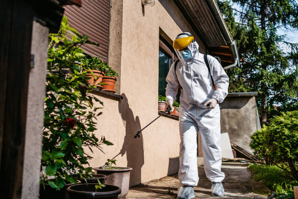 Best Mosquito Control Services  in Forestbrook, SC