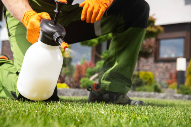 Best Pest Control for Homes  in Forestbrook, SC