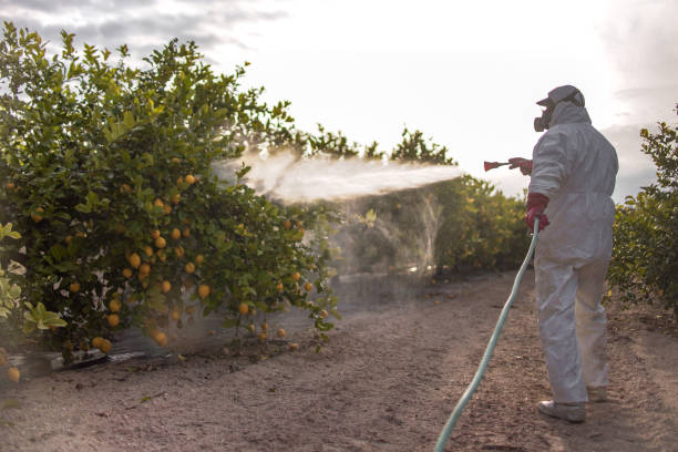 Best Affordable Pest Control Services  in Forestbrook, SC
