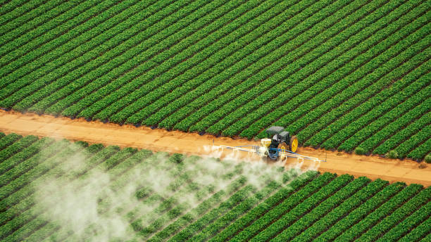 Trusted Forestbrook, SC Pest Control Experts