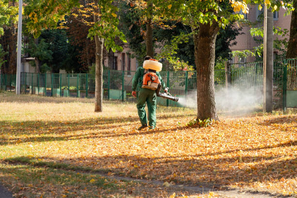 Best Flea Control Services  in Forestbrook, SC