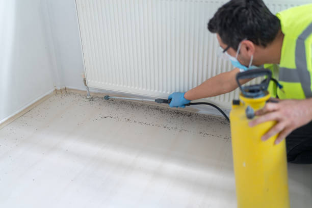 Best Emergency Pest Control  in Forestbrook, SC