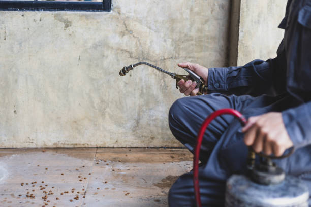 Best Affordable Pest Control Services  in Forestbrook, SC
